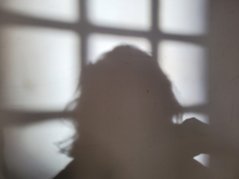Silhouette de printemps