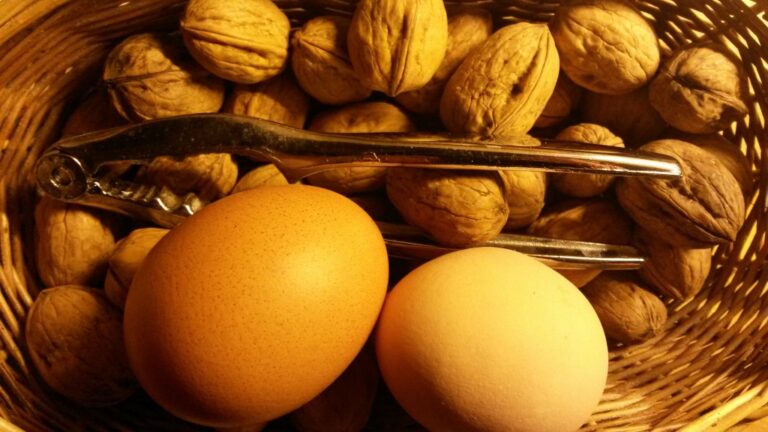 Des noix, des oeufs