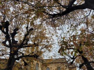 L’automne, l’observatoire