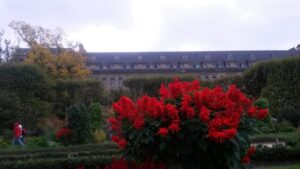 Eclats de rouges dans l’automne gris
