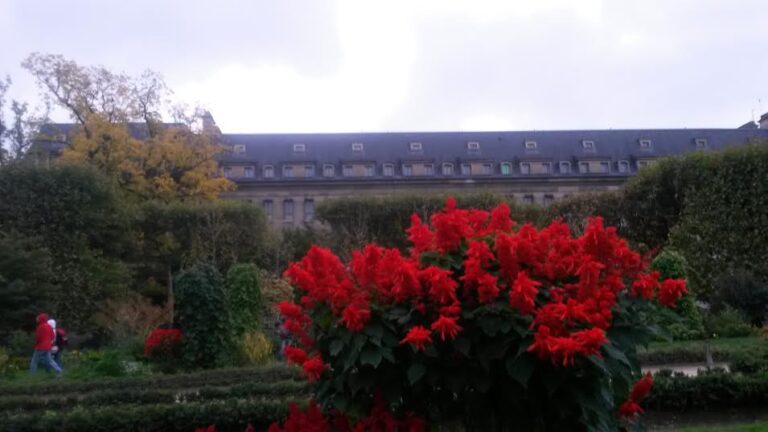 Eclats de rouges dans l&rsquo;automne gris