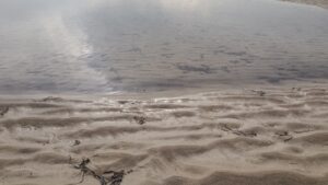 La grande plage