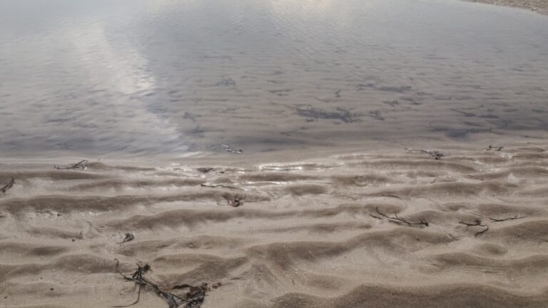 La grande plage