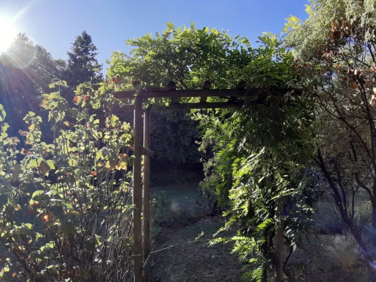 Une visitation