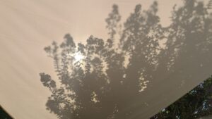 Ombre chinoise, jardin des Olonnes