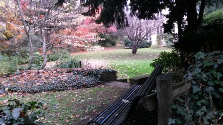 Jardin de Massa