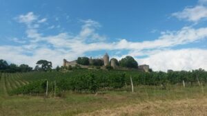 Sur la motte