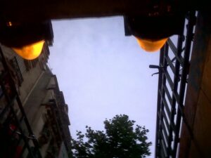 Les yeux jaunes