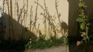 Septembre