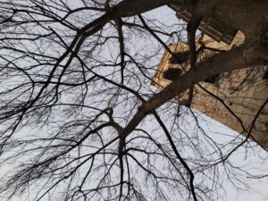 Saint-Nicolas du Chardonnet