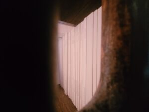Interstitiel