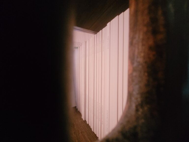 Interstitiel