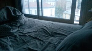 Le lit du fleuve des Orteaux