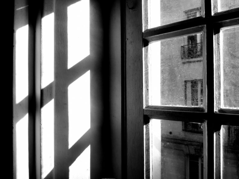 En noir et gris