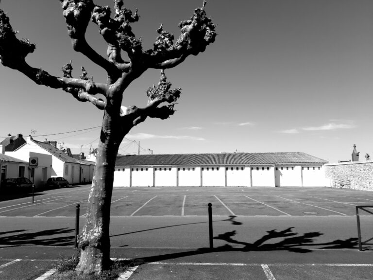 Ombres de la ville close