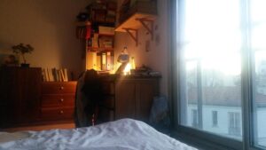 Intérieur/extérieur soir