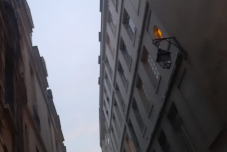 Automne malade et adoré