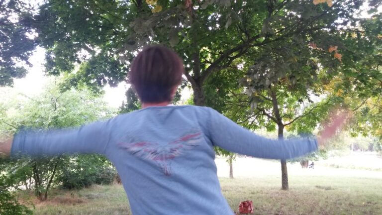 L&rsquo;envol