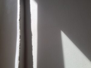 Langues de mur