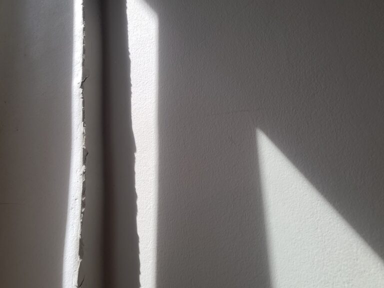 Langues de mur