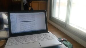 La présence silencieuse