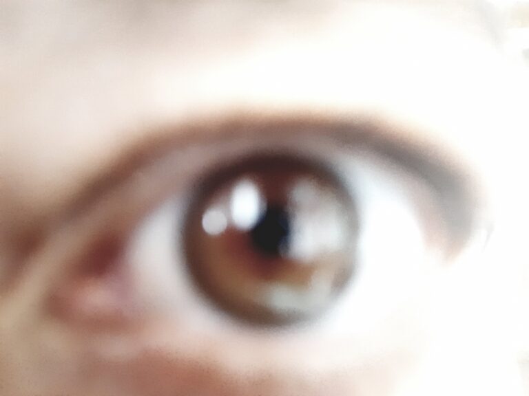 L&rsquo;oeil