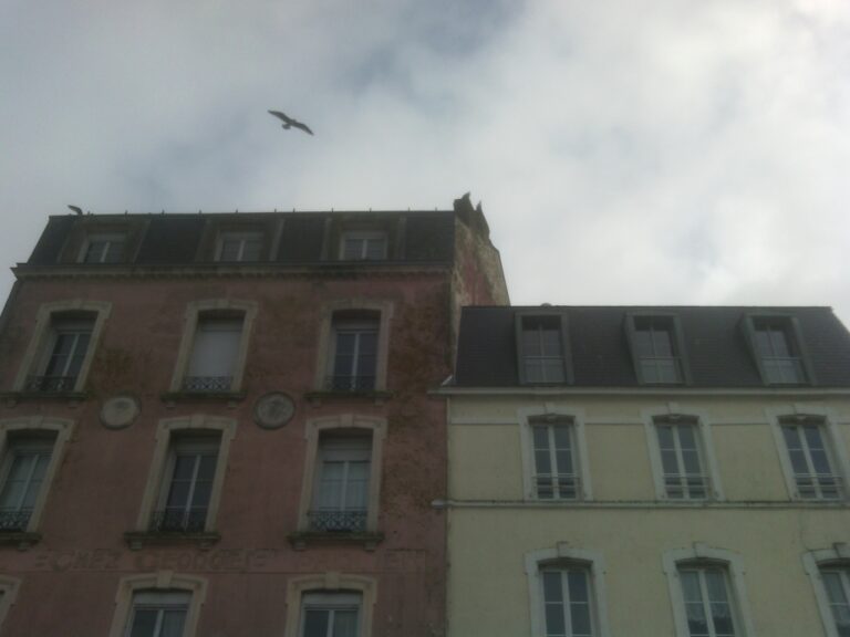 Maisons du port