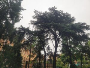 Temps d&rsquo;orage