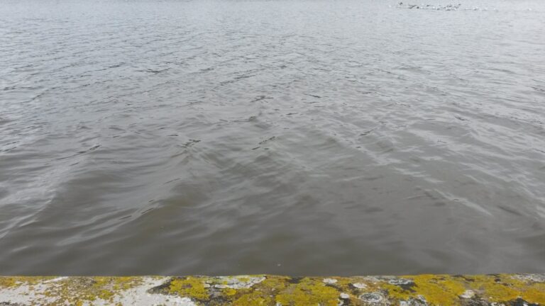 Entrevue avec l’eau