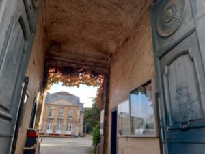 Dans la rue de monsieur Cuvier