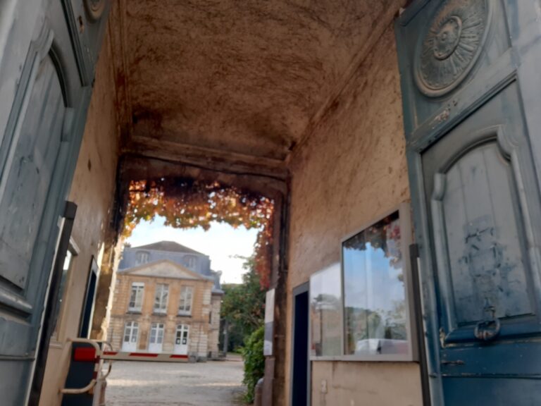 Dans la rue de monsieur Cuvier