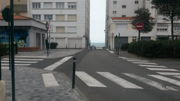Triste cours Blossac