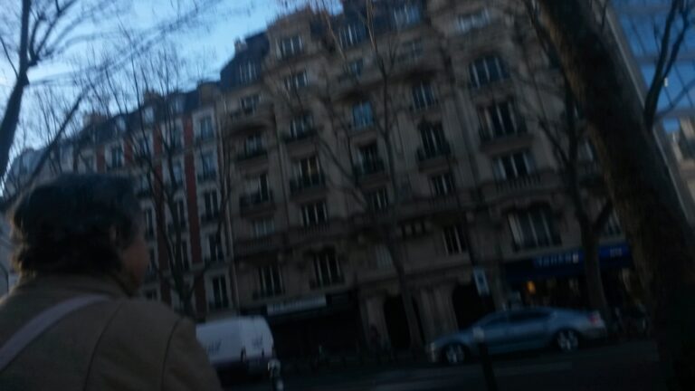 Jussieu