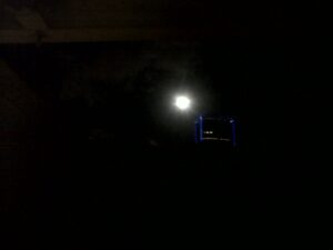 Moonsmile