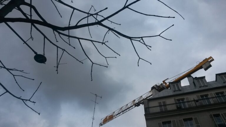 Branches de bois, branche de fer