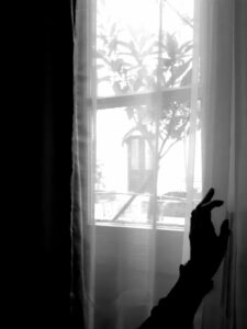 Jours sans fin