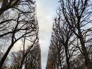 Au Luxembourg