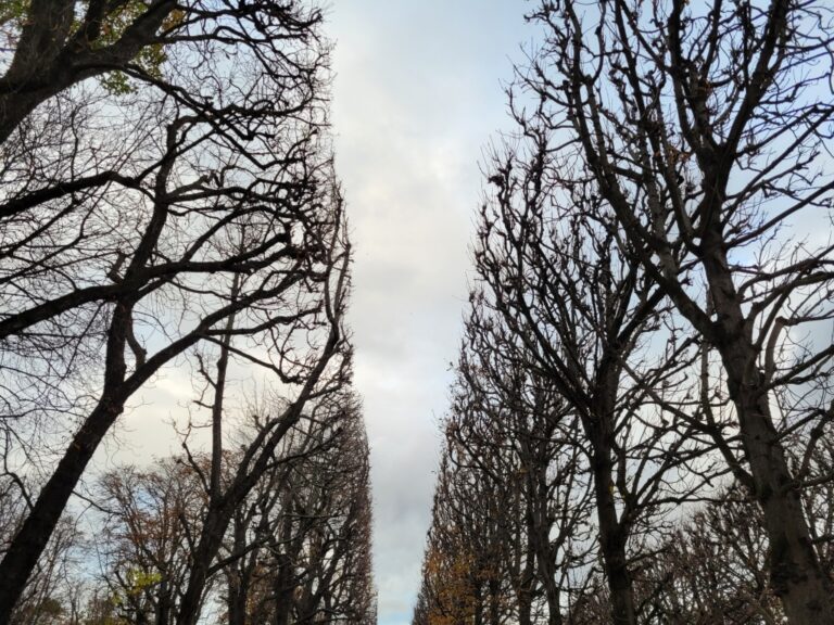 Au Luxembourg