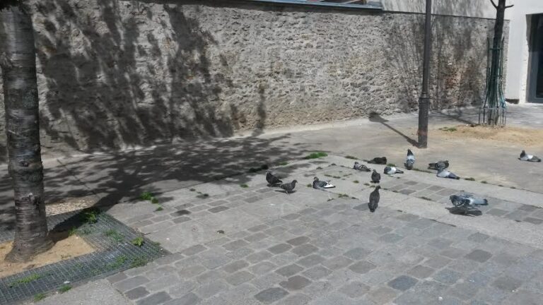 Des habitants de Ménimontant
