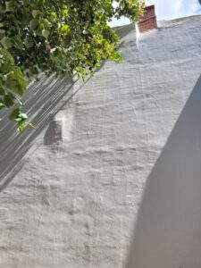 Un mur estival