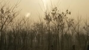 Paysage