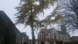 Intemporalité
