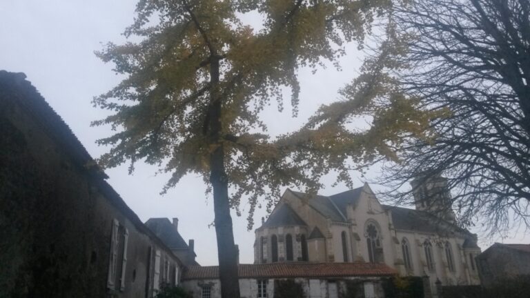 Intemporalité