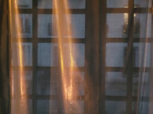 Ô douceur, ô douleur, hivernales…