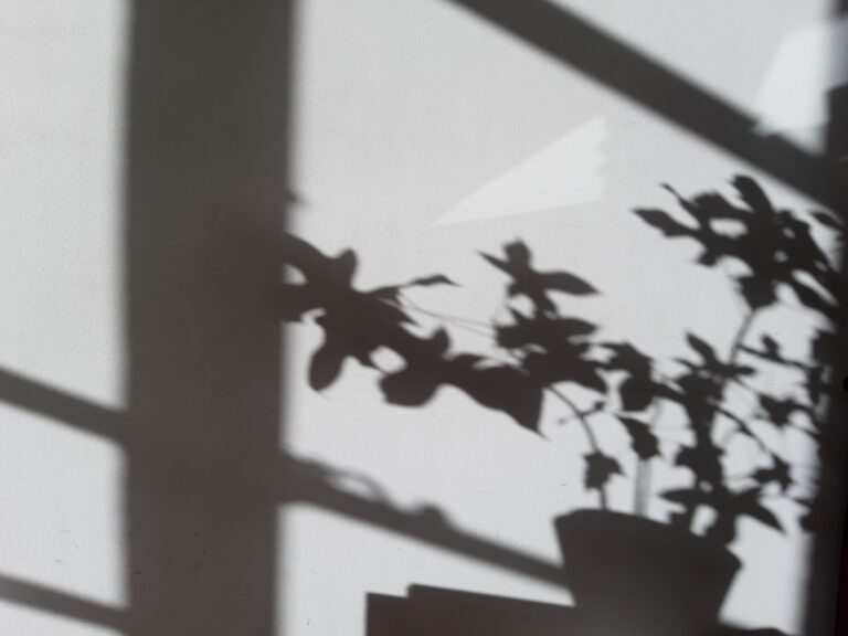 La danse de la plante du bureau