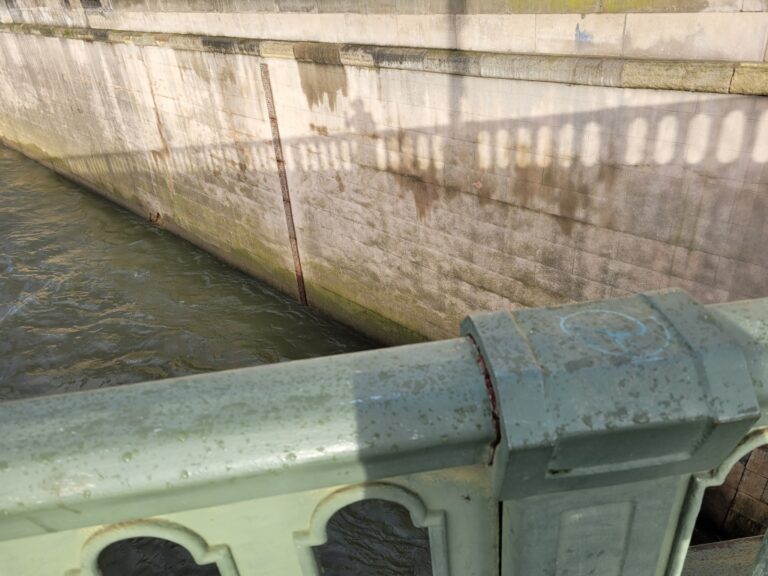 Mon ombre me salue au bord de la Seine