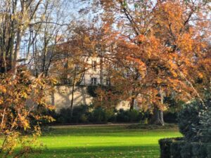 Soleil de novembre sur Champ-Goyon