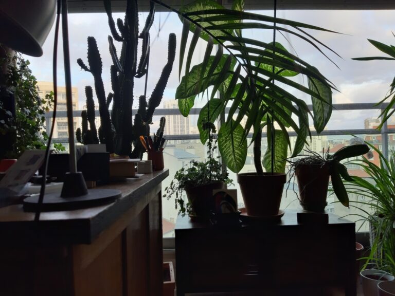 La verdure