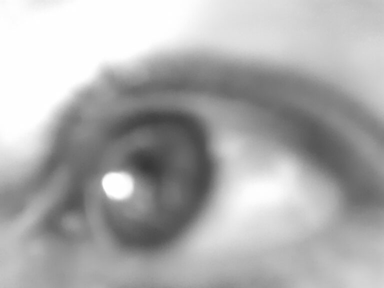 L&rsquo;oeil peuplait le visage et quémandait Abel