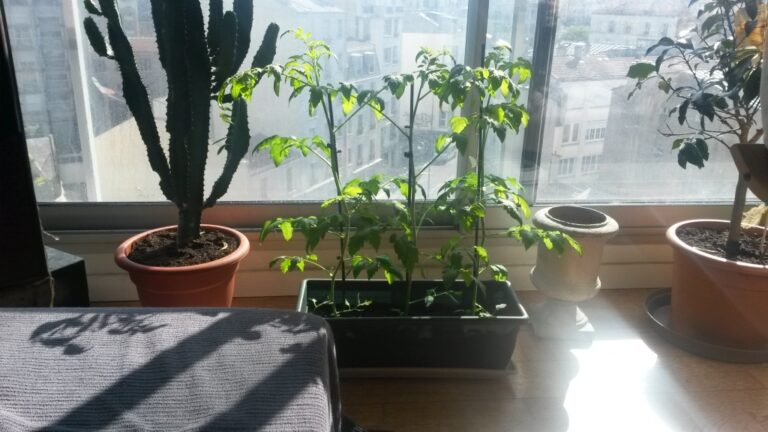 Le potager des Orteaux